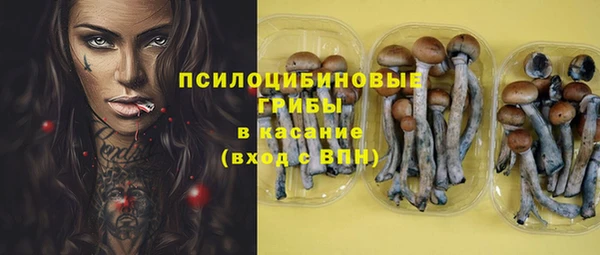 шишки Алексеевка