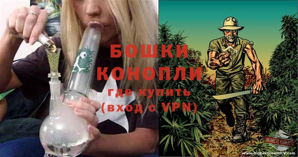 шишки Алексеевка